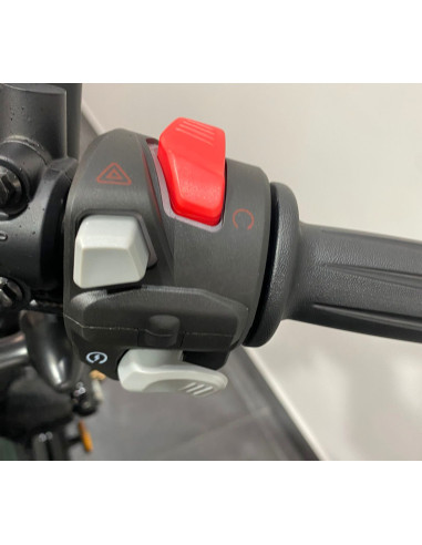 BENDA NAPOLEON BOB 250