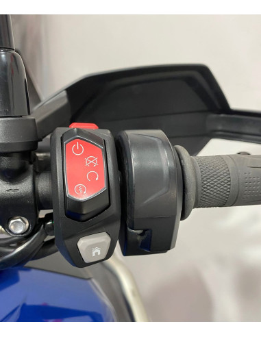 TRIUMPH TIGER 1200 GT PRO