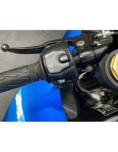 SUZUKI GSX R1000