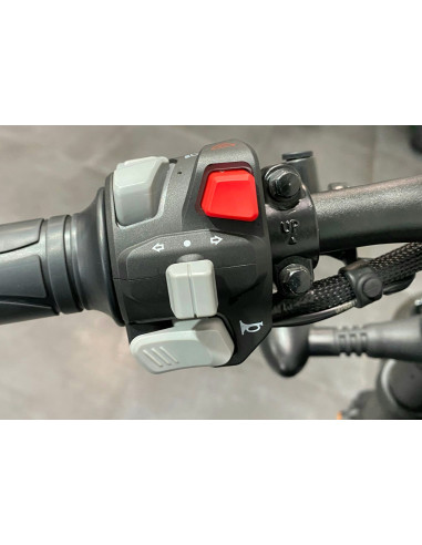 BENDA CHINCHILLA 500