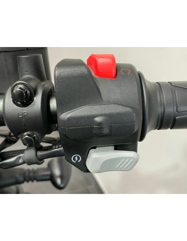 BENDA CHINCHILLA 500