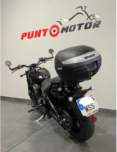 BENDA CHINCHILLA 500