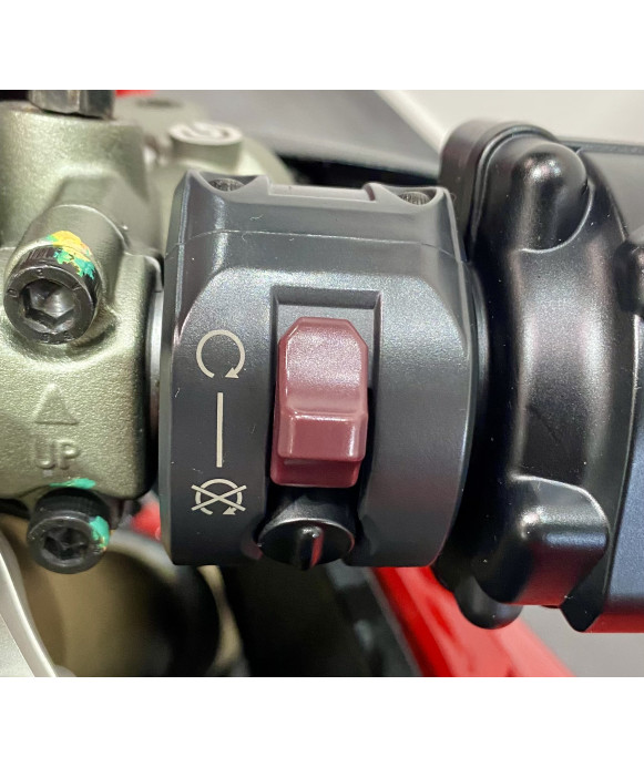 DUCATI 1199 PANIGALE ABS