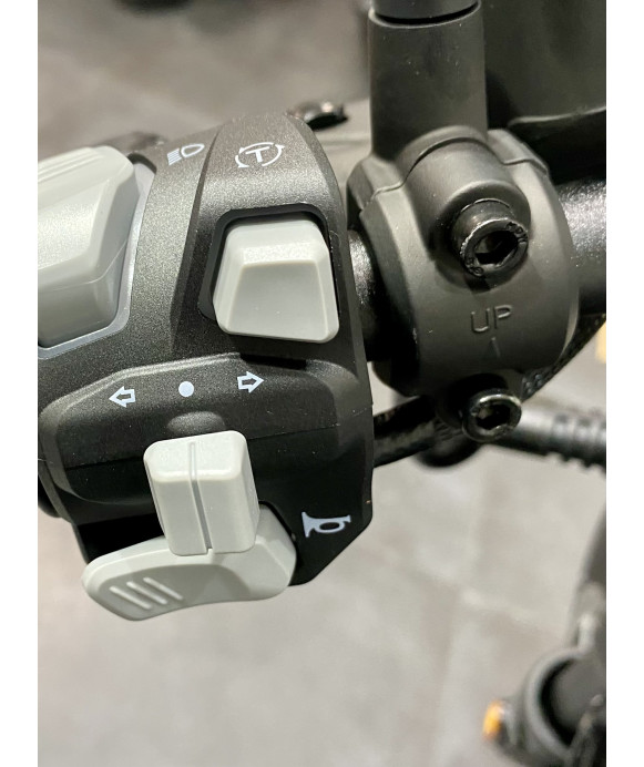 BENDA CHINCHILLA 350