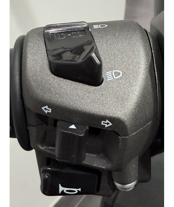 ARIIC 318