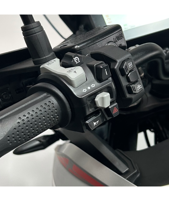 MORBIDELLI T1002VX