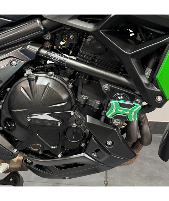 KAWASAKI VERSYS 650