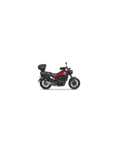 TOP MASTER BENELLI LEONCINO 502 TOP MASTER BENELLI LEONCINO 502