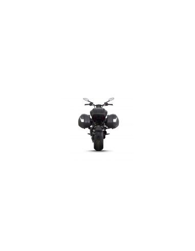 3P SYSTEM DUCATI DIAVEL 1260