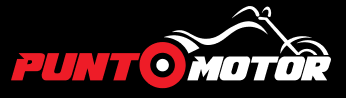 Logo Punto Motor